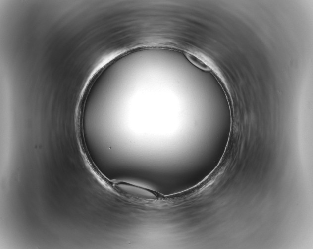 X0000086951053200704301213