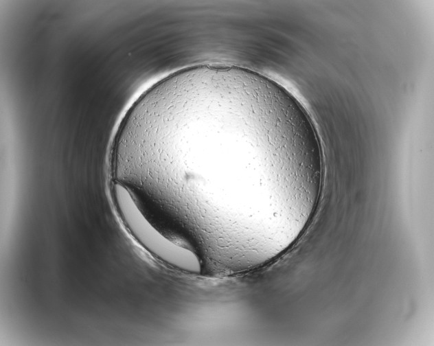 X0000086951056200704301213