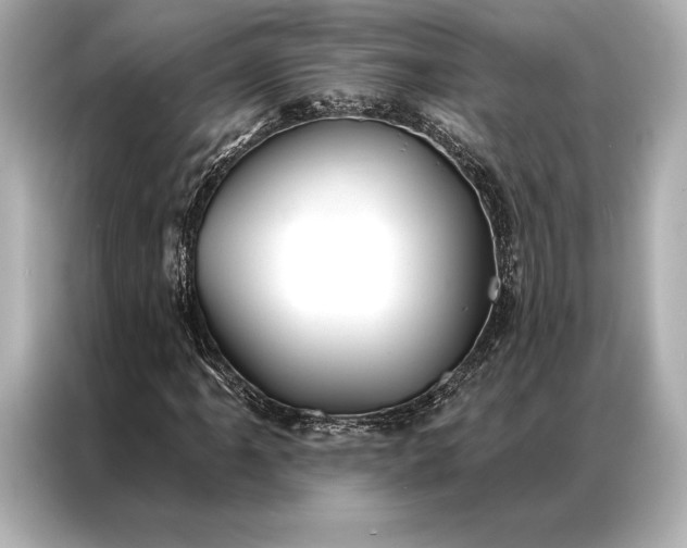 X0000086951061200704301213