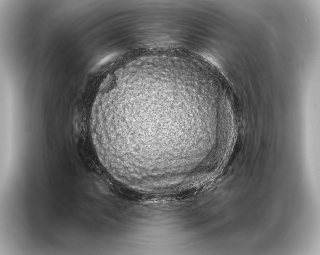 X0000086951063200704301213