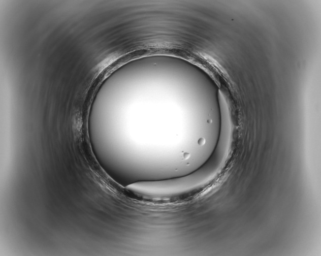 X0000086951065200704301213