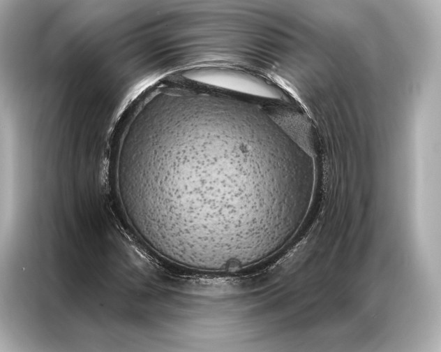 X0000086951066200704301213