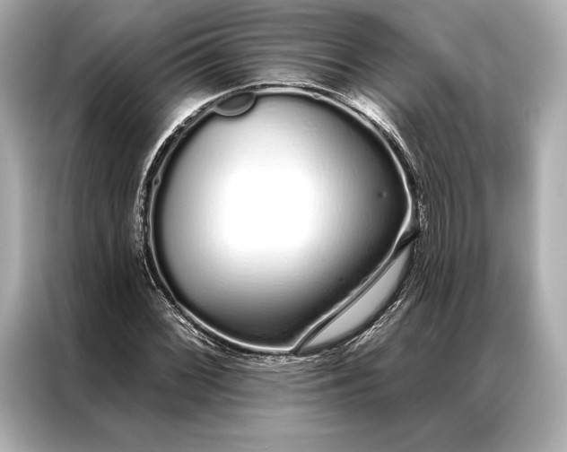 X0000086951068200704301213