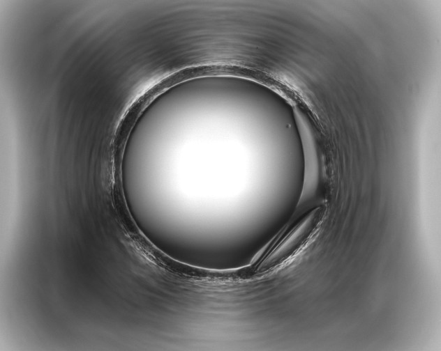 X0000086951069200704301213