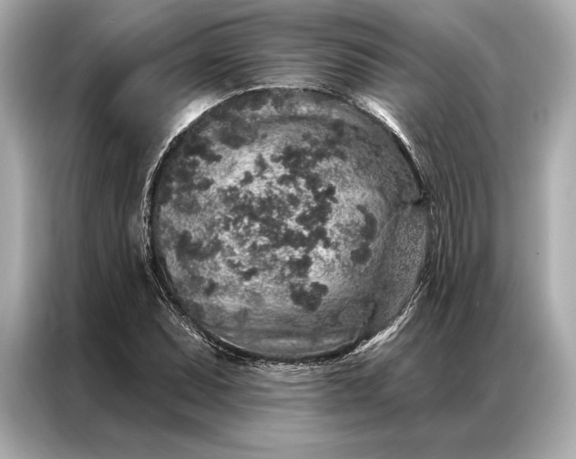 X0000086951071200704301213