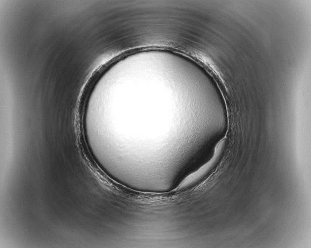 X0000086951072200704301213