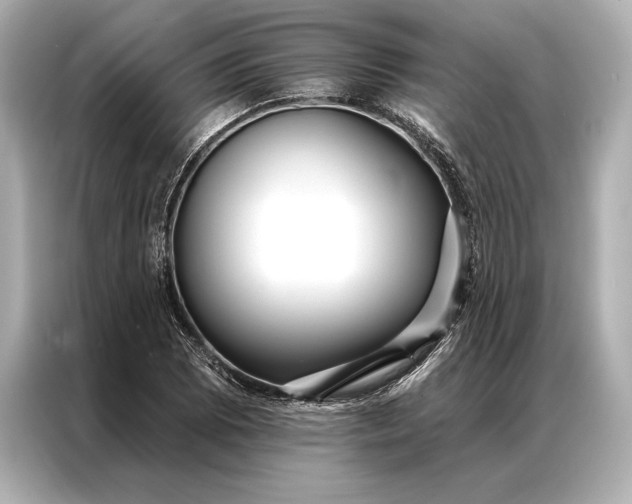 X0000086951073200704301213