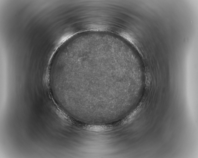 X0000086951074200704301213