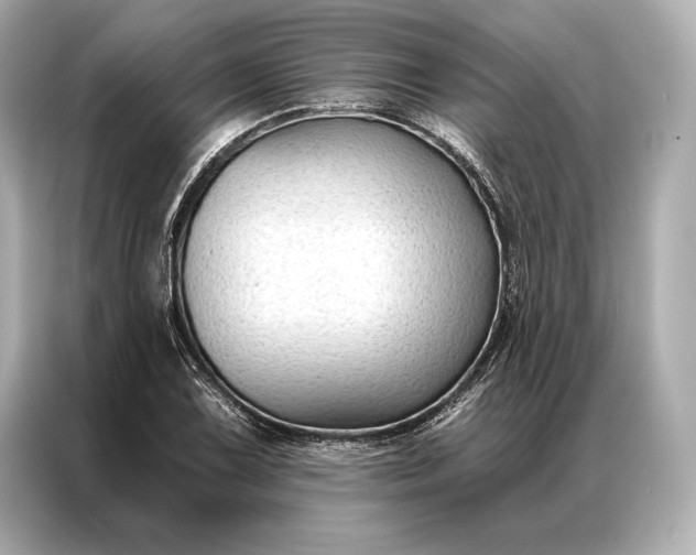 X0000086951075200704301213