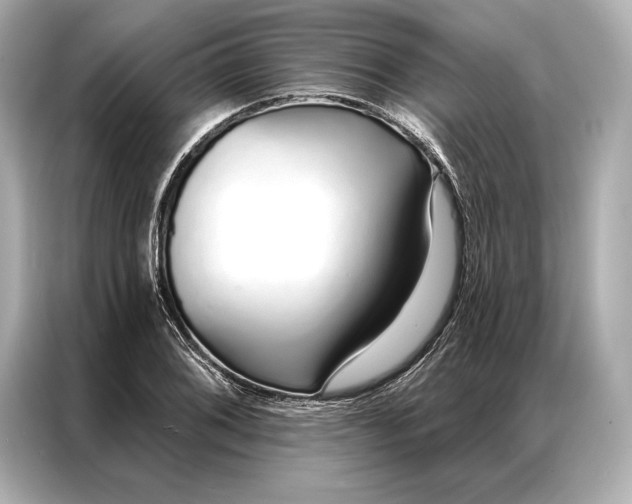 X0000086951076200704301213