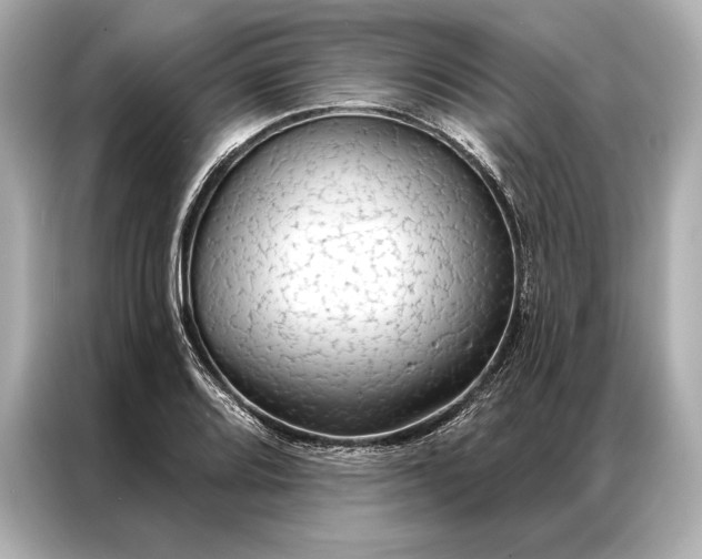 X0000086951080200704301213