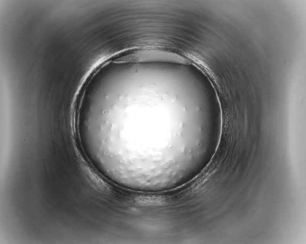 X0000086951083200704301213