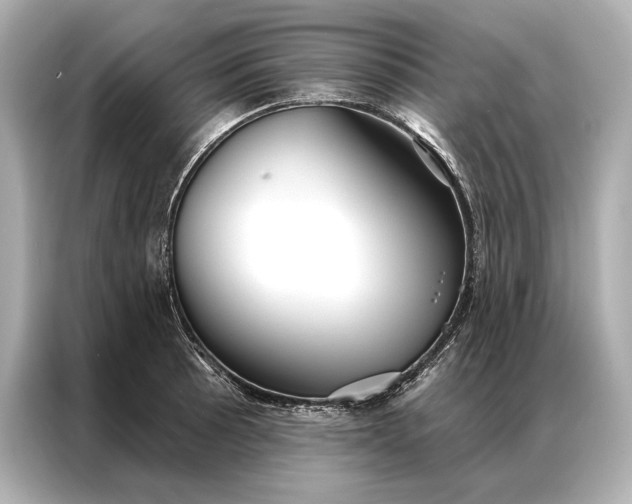 X0000086951089200704301212