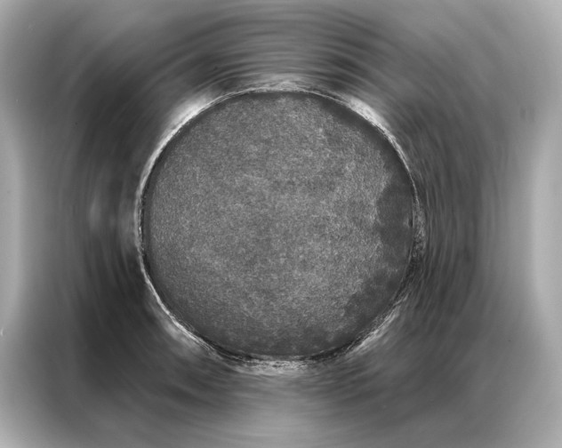 X0000086951090200704301212