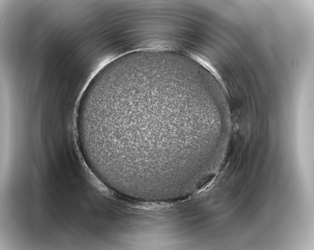 X0000086951091200704301212