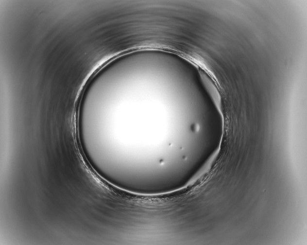 X0000086951092200704301212