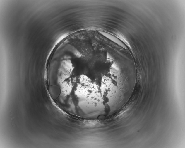 X0000086951095200704301212