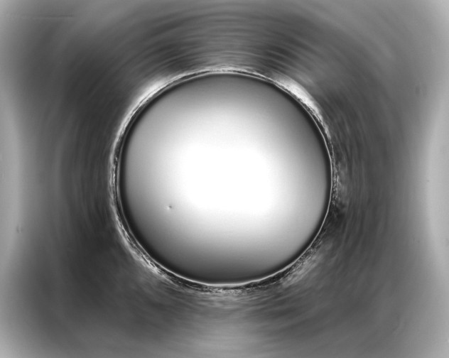 X0000086951096200704301212