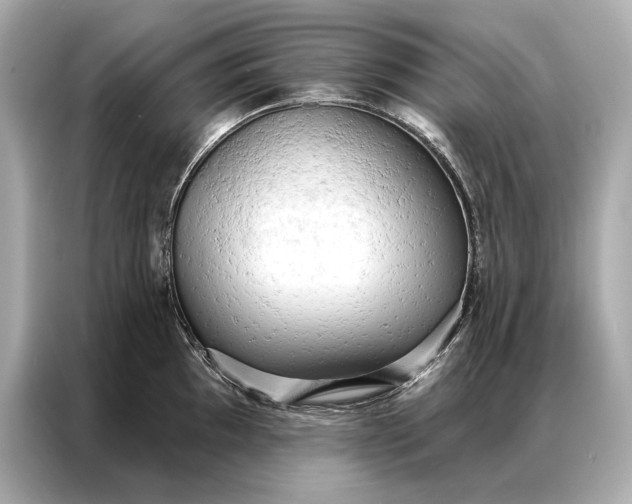 X0000086951097200704301212