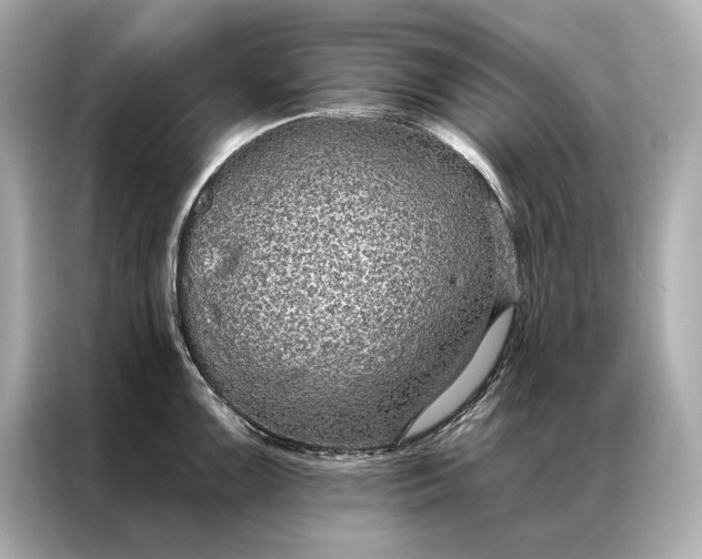 X0000086951099200704301212