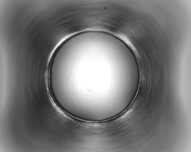 X0000086951100200704301212