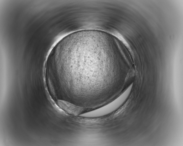 X0000086951102200704301212