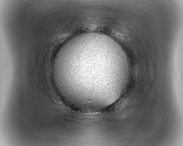 X0000086951105200704301212