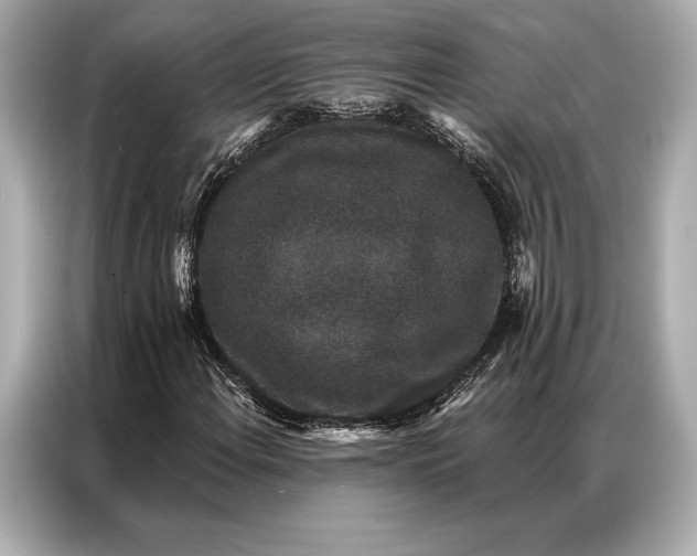 X0000086951108200704301212