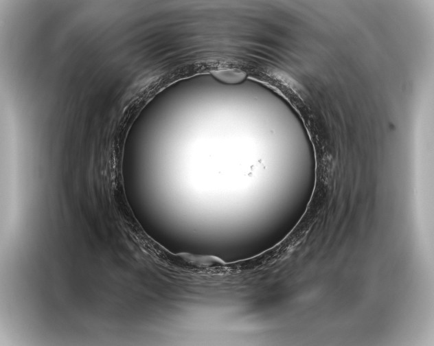 X0000086951111200704301212