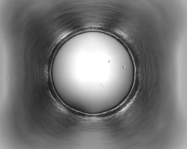 X0000086951113200704301212