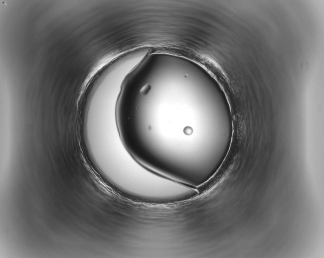 X0000086951114200704301212