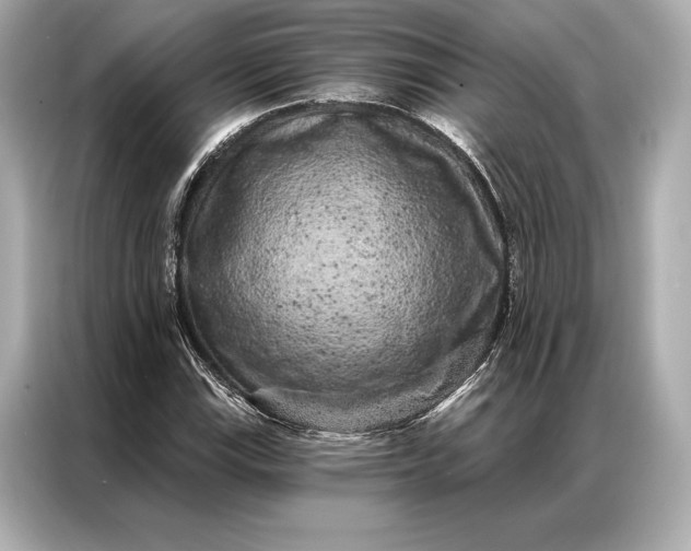 X0000086951115200704301212