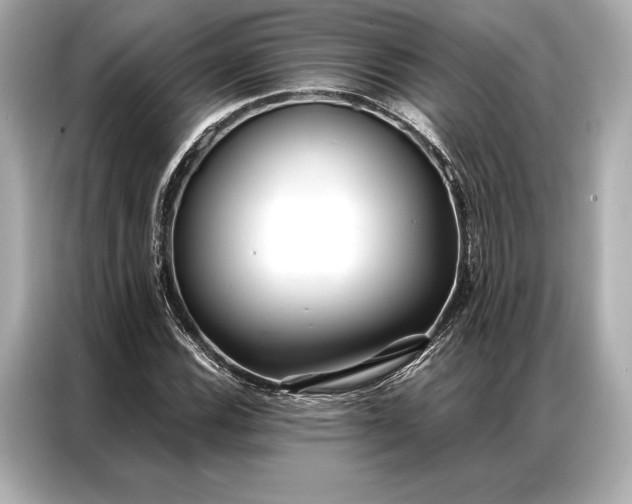 X0000086951116200704301212