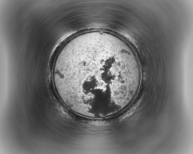 X0000086951117200704301212