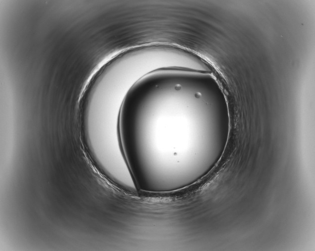 X0000086951118200704301212