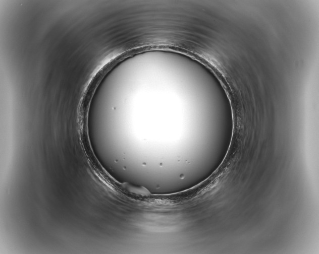 X0000086951119200704301212