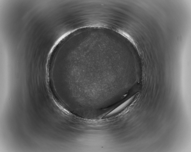 X0000086951120200704301212