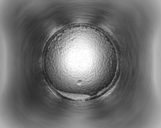 X0000086951121200704301212