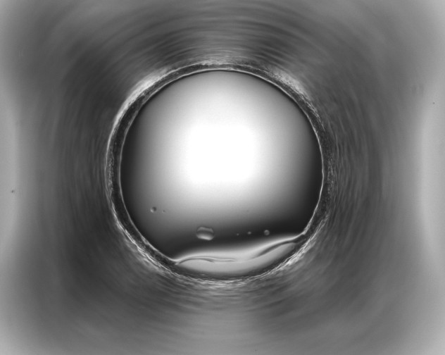 X0000086951122200704301212