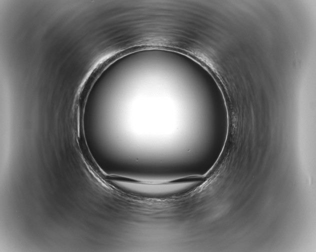 X0000086951123200704301212