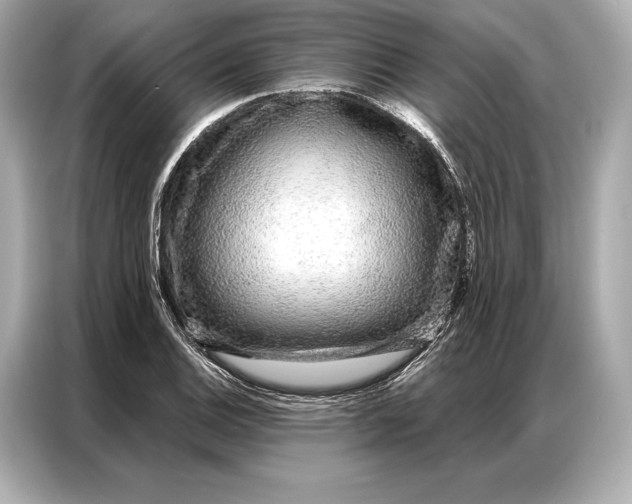 X0000086951124200704301212