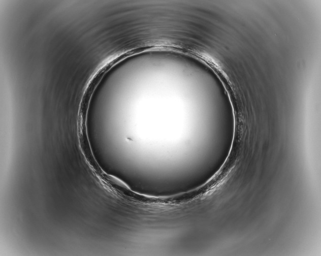 X0000086951125200704301212