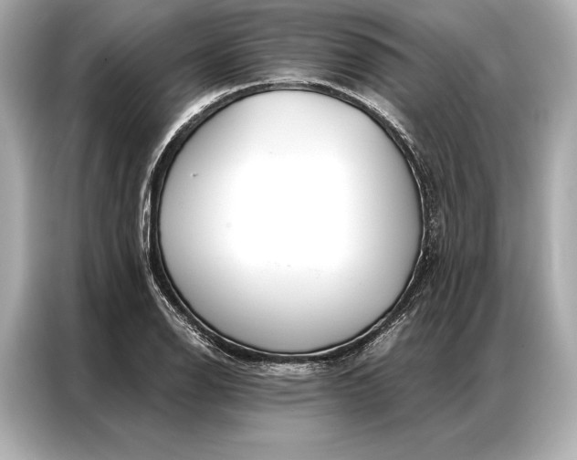 X0000086951126200704301212