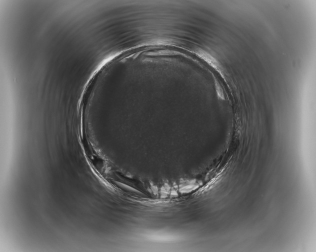 X0000086951127200704301212