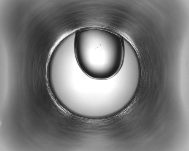 X0000086951128200704301212