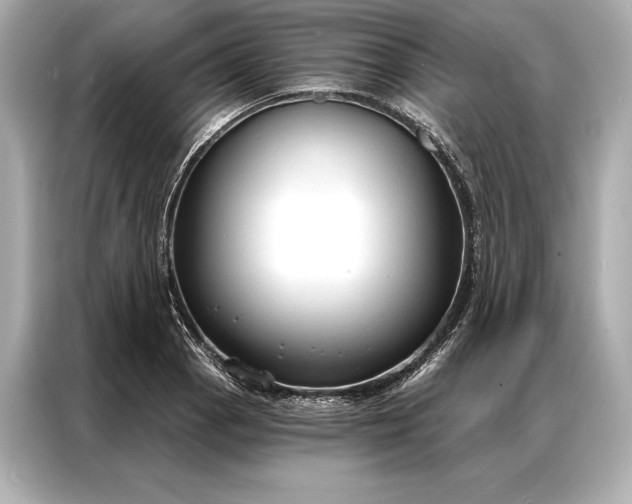 X0000086951129200704301212