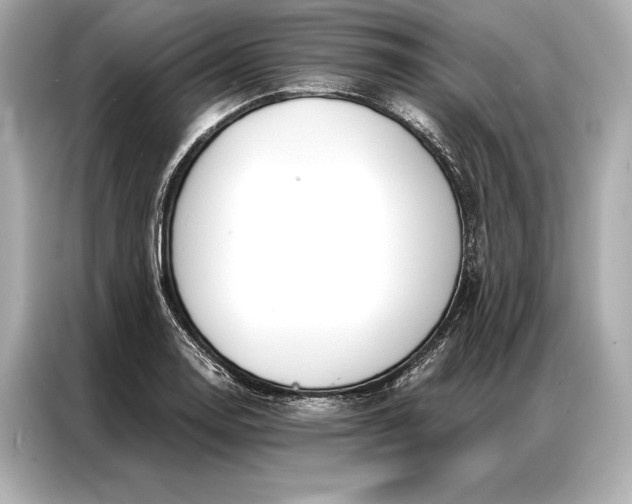 X0000086951130200704301212