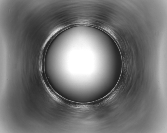 X0000086951131200704301212