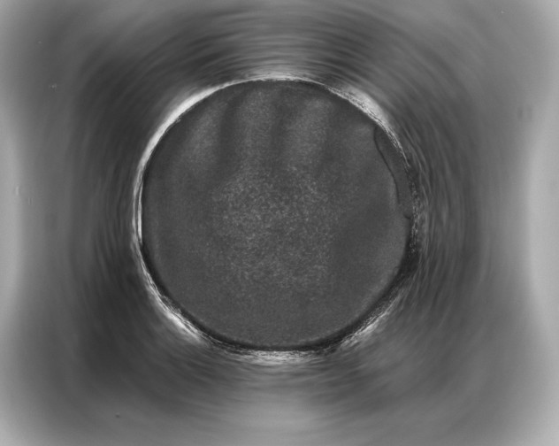 X0000086951132200704301212