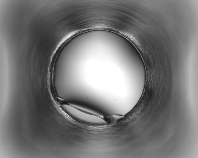 X0000086951134200704301212